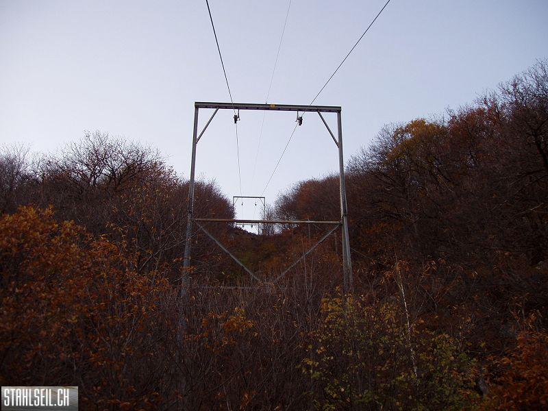 k-PB190354.JPG