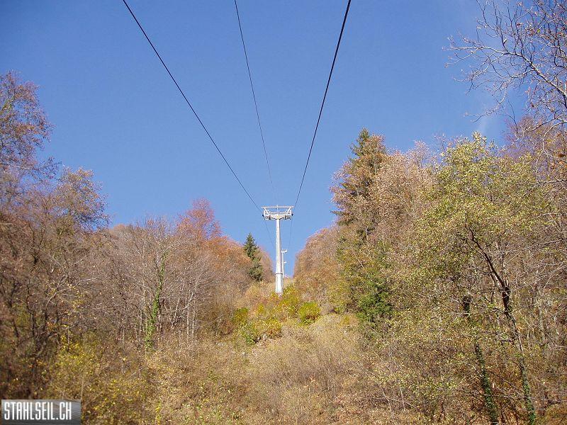 k-PB110298.JPG