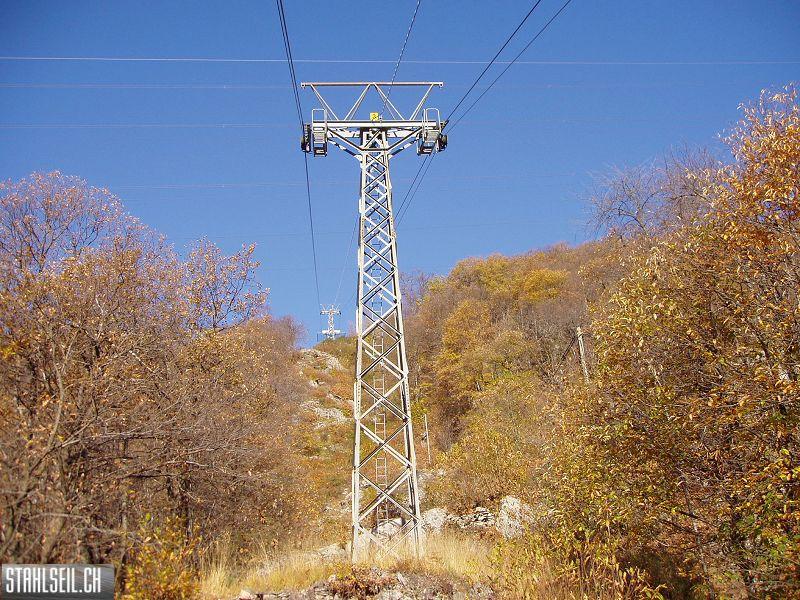 k-PB190034.JPG