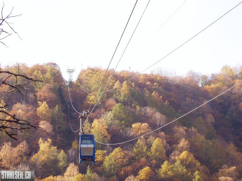 k-PB110323.JPG