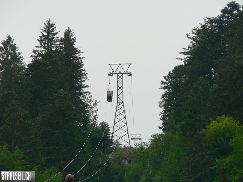 k-P1040145.JPG