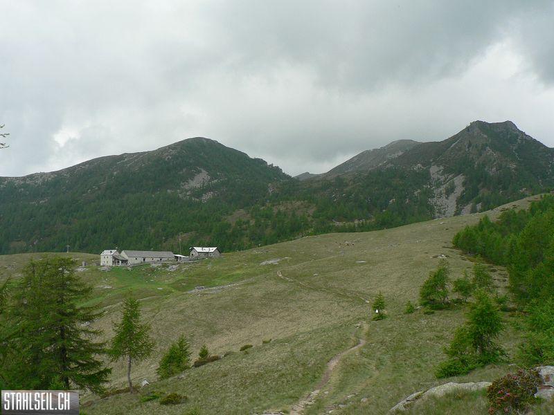 k-P1040210.JPG
