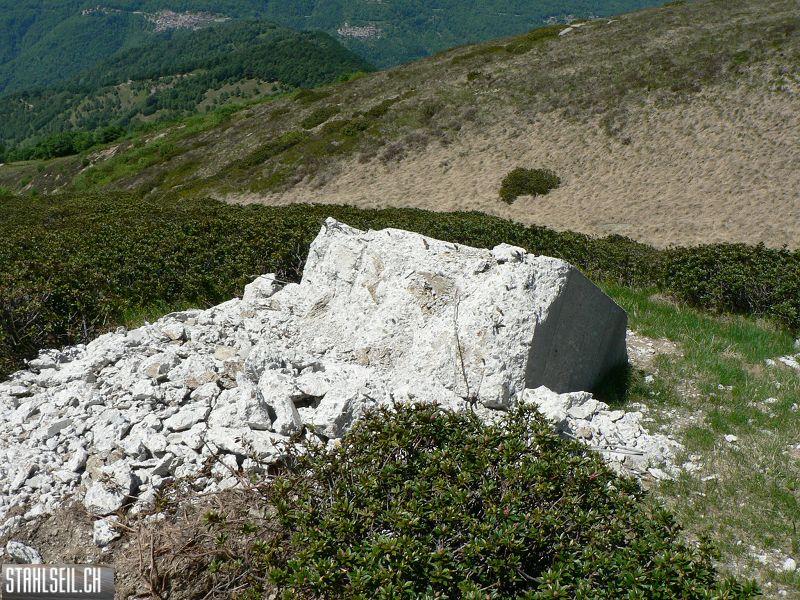k-P1010159.JPG