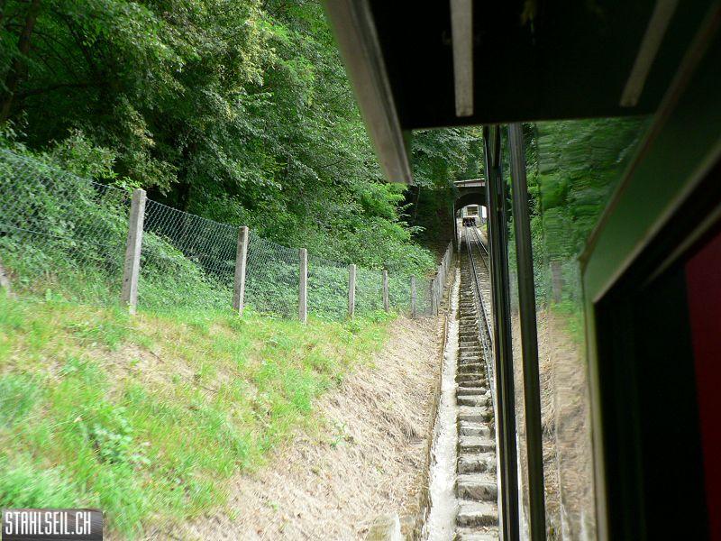 k-P1060224.JPG