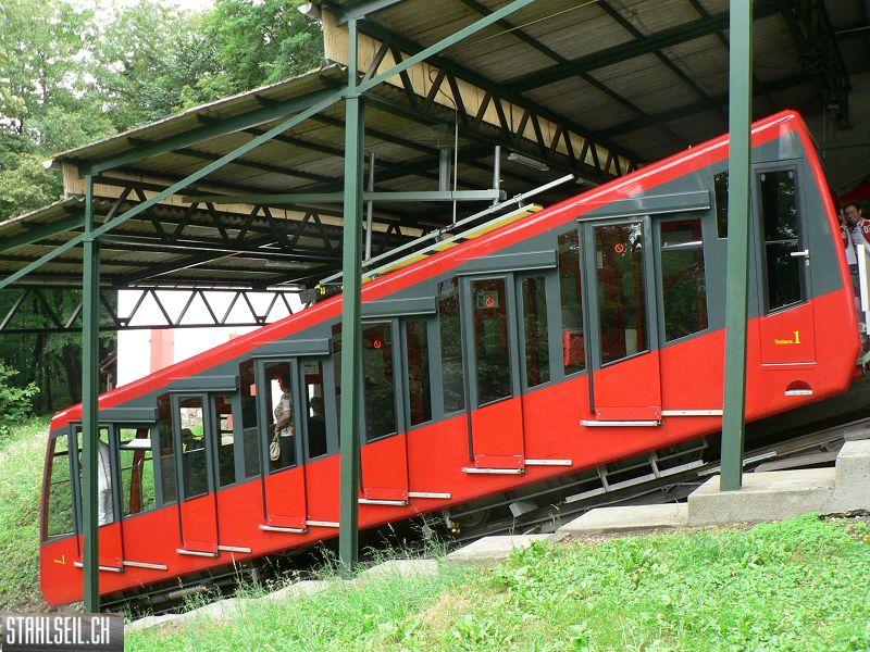 k-P1060234.JPG
