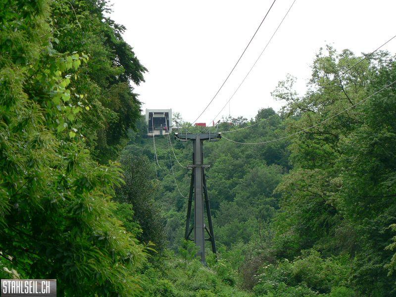 k-P1000648.JPG