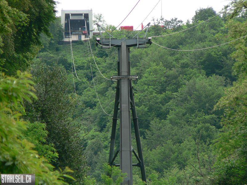 k-P1000649.JPG