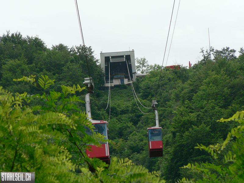 k-P1000676.JPG