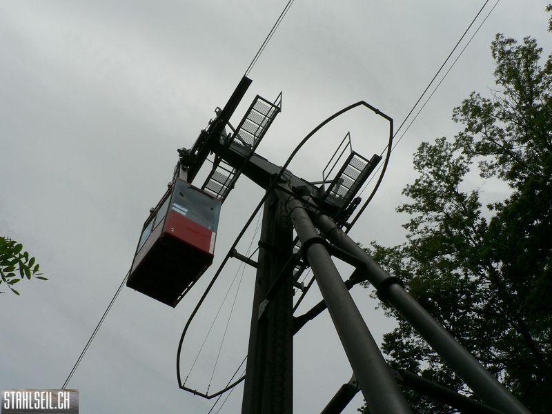 k-P1000683.JPG