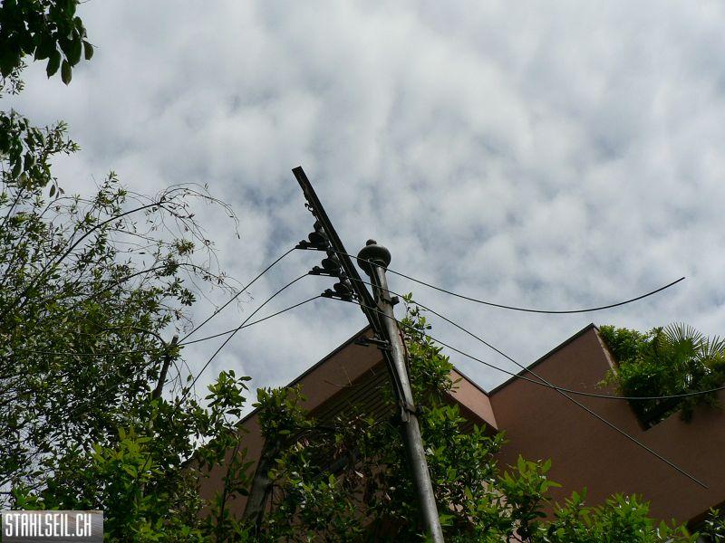 k-P1000809.JPG