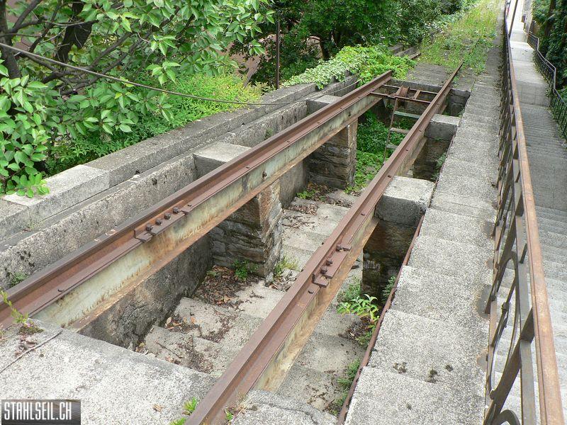 k-P1000866.JPG