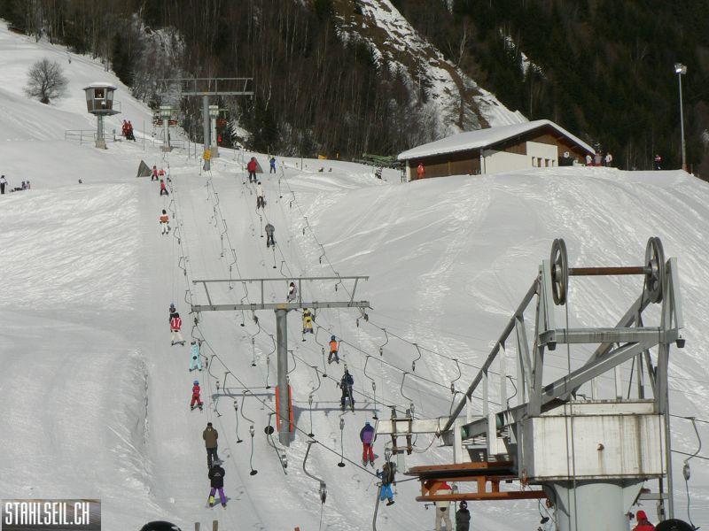 k-P1570756.JPG