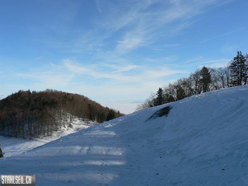 k-P1510727.JPG