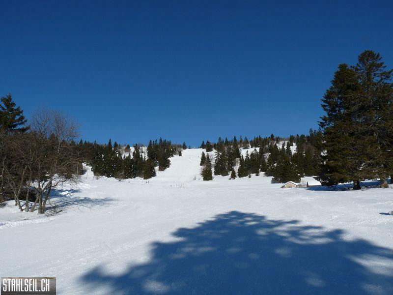 k-P1060003.JPG