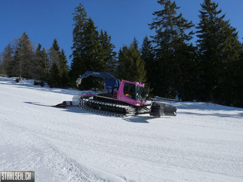 k-P1060017.JPG