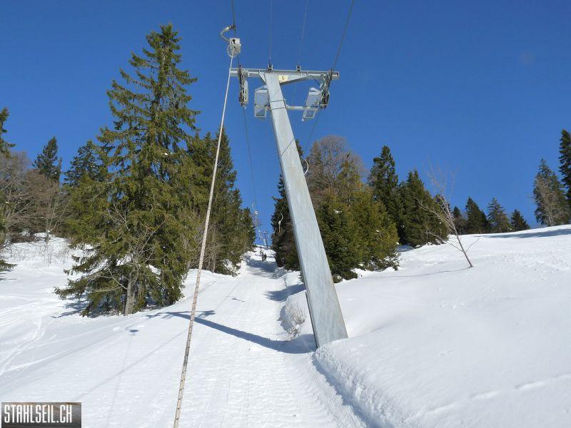 k-P1060018.JPG