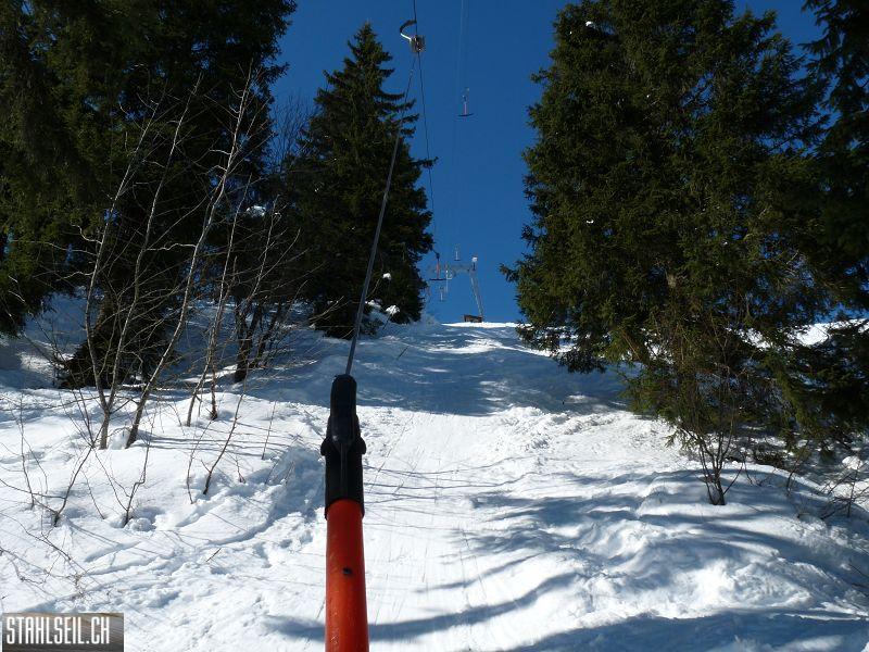 k-P1060232.JPG
