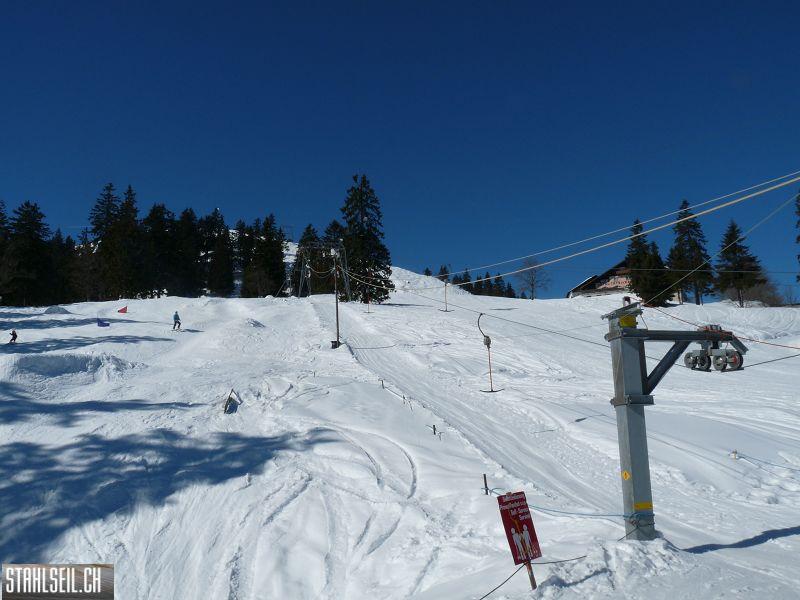 k-P1060245.JPG
