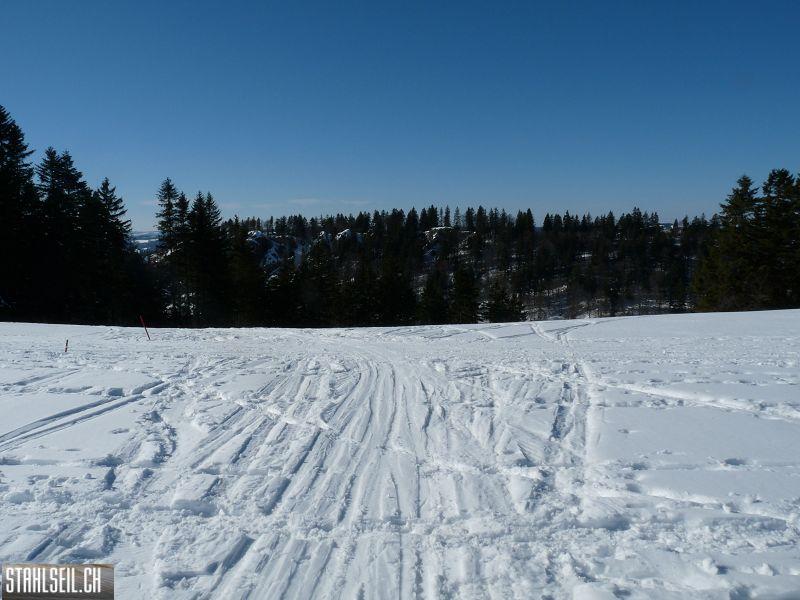 k-P1060458.JPG
