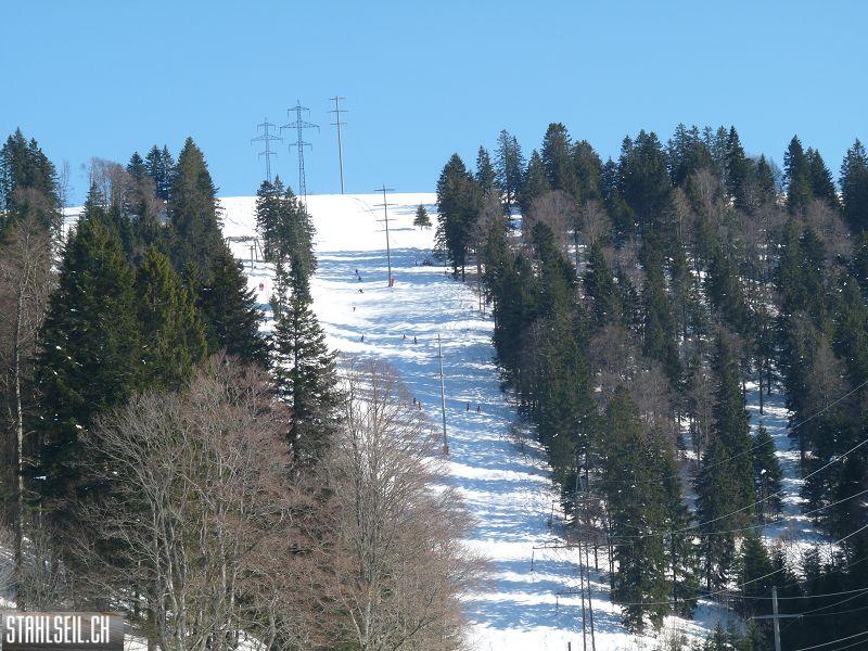 k-P1060488.JPG