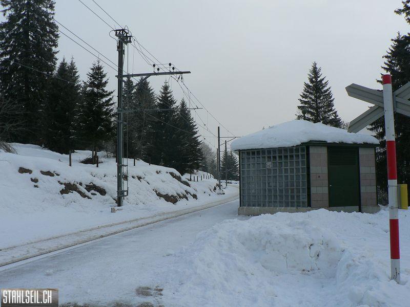 k-P1550157.JPG