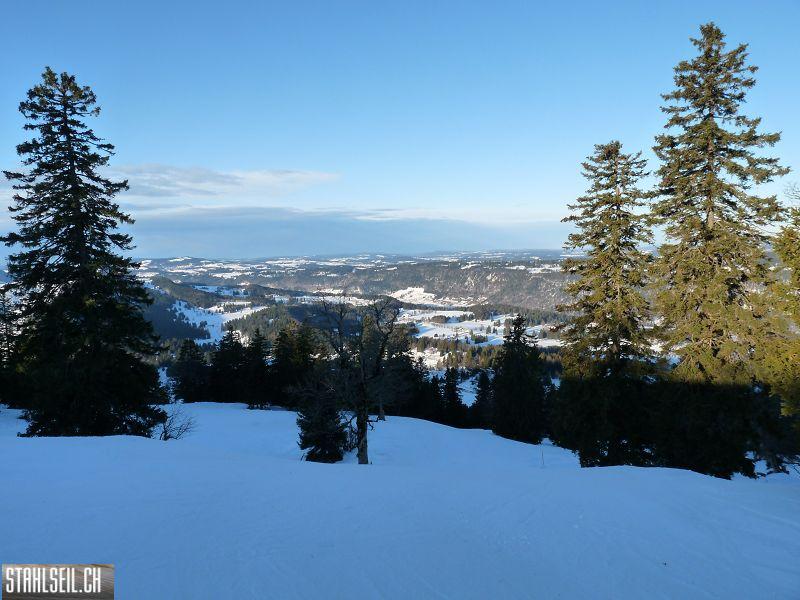 k-P1000231.JPG