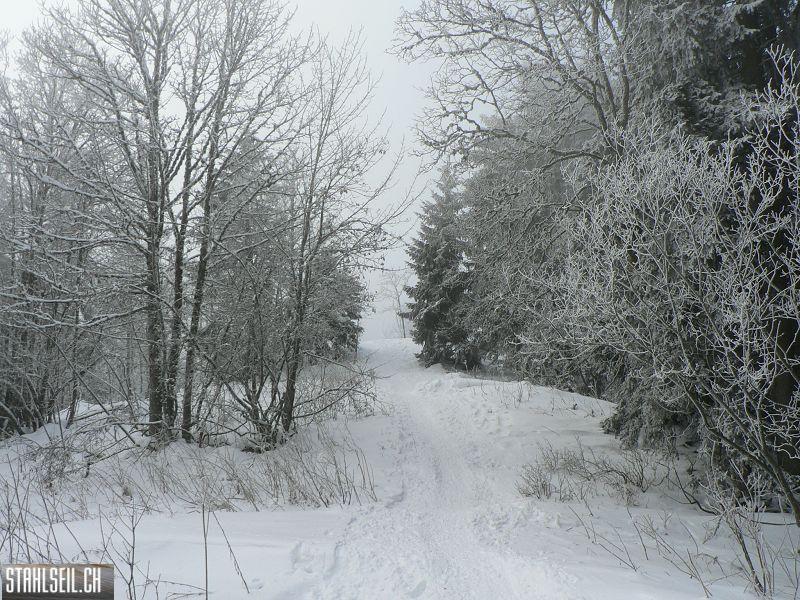 k-P1550208.JPG