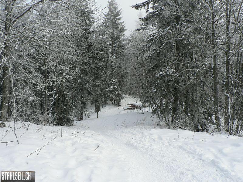 k-P1550209.JPG
