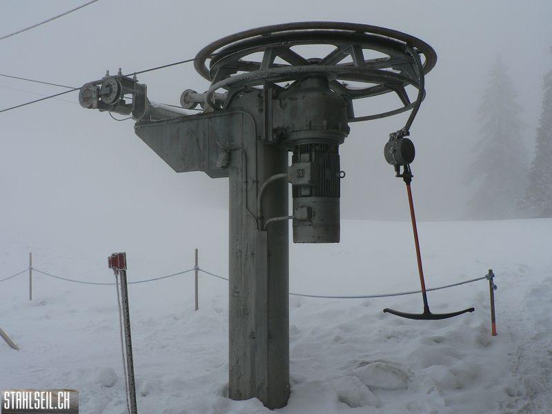 k-P1550214.JPG