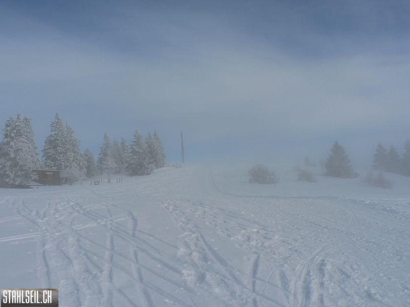 k-P1550238.JPG
