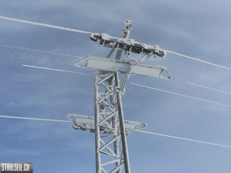 k-P1550246.JPG