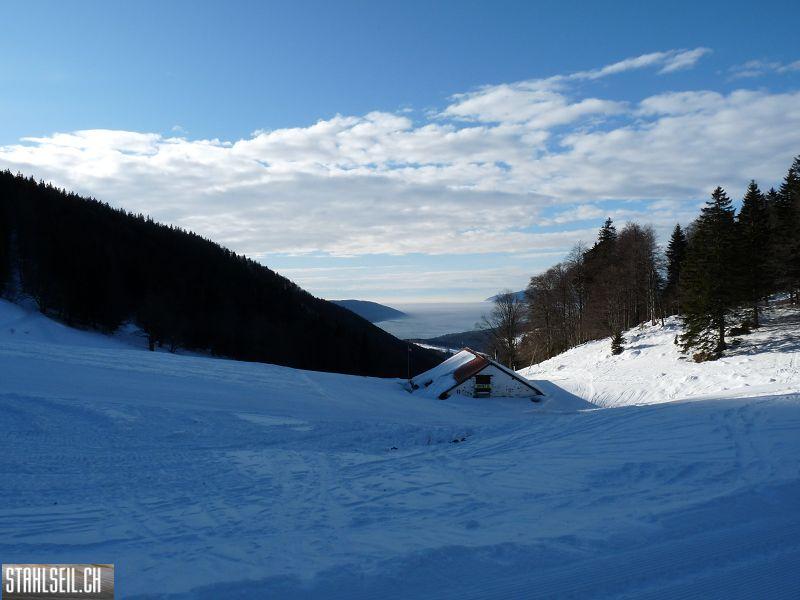 k-P1000313.JPG