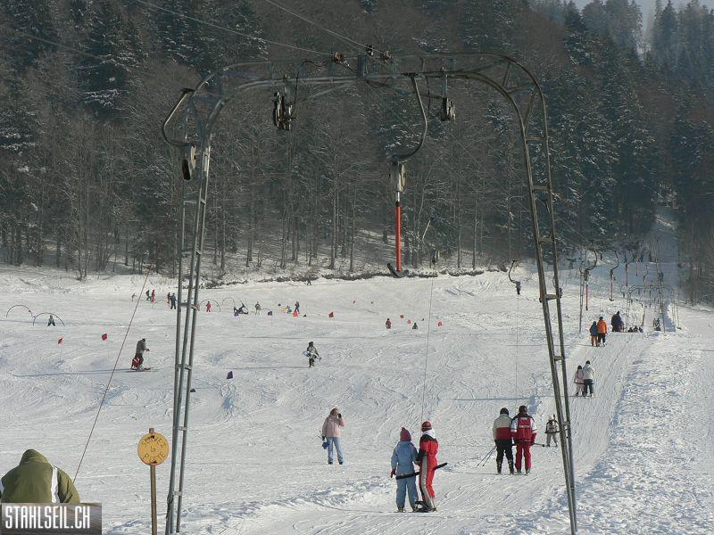 k-P1550403.JPG