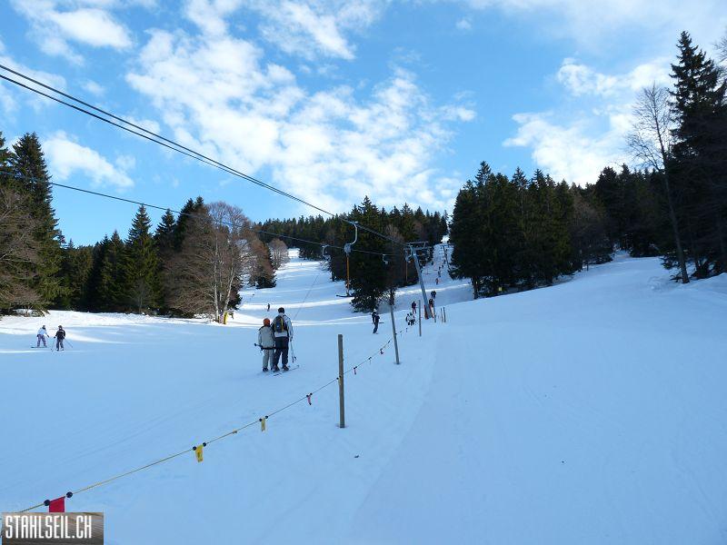 k-P1000606.JPG