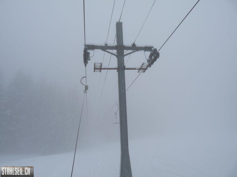 k-P1000979.JPG