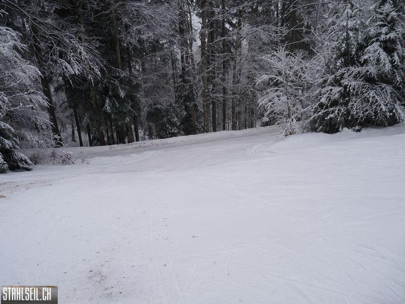k-P1010022.JPG
