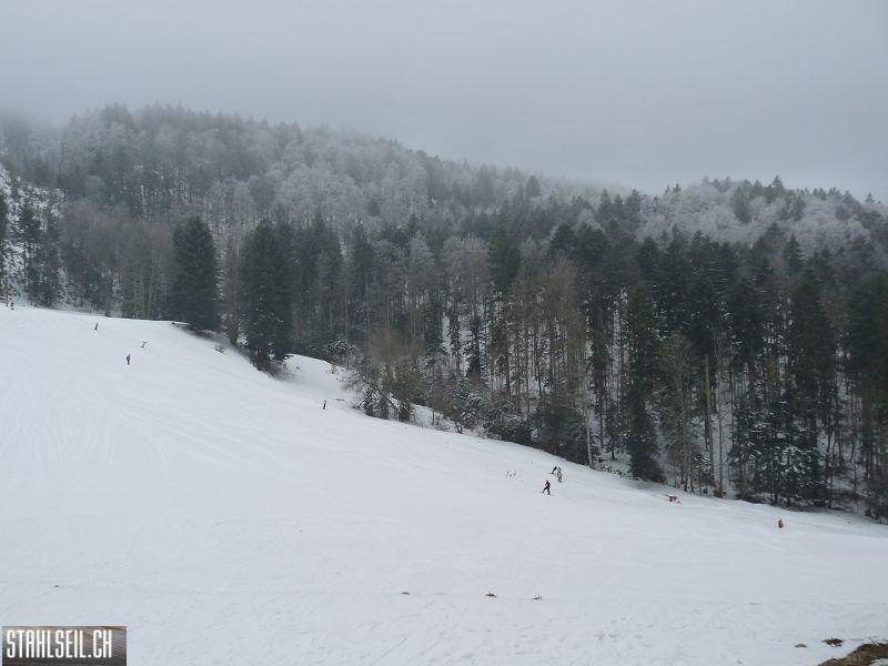 k-P1020254.JPG