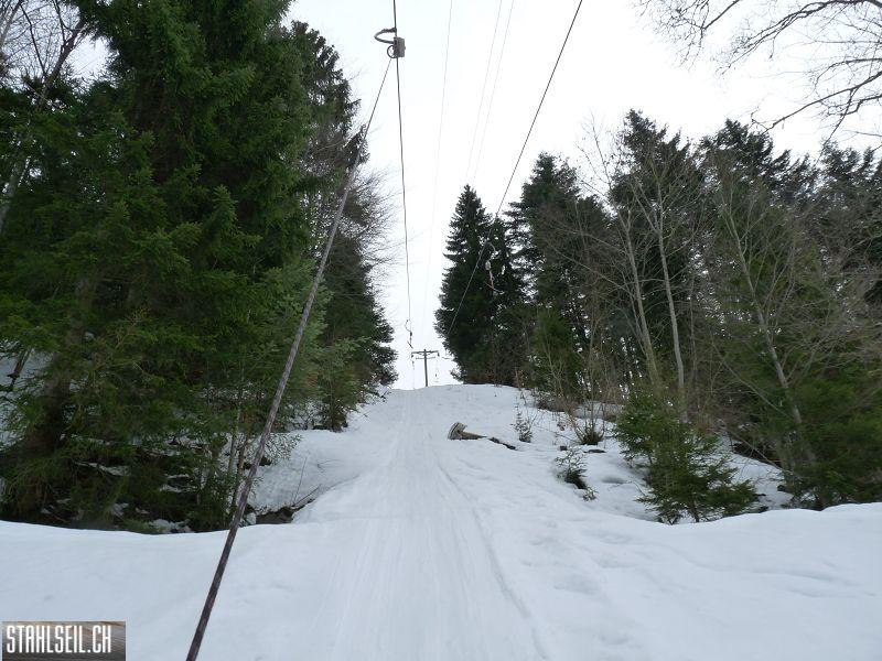 k-P1070212.JPG