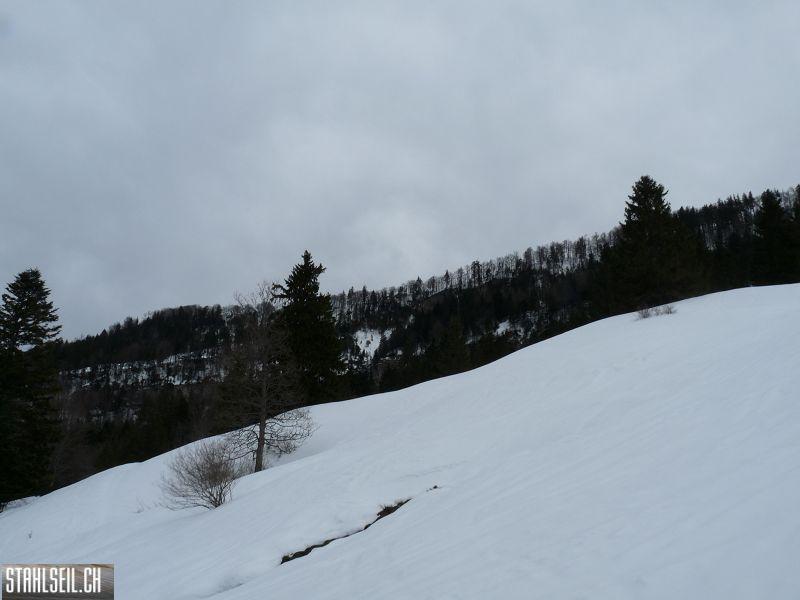 k-P1070216.JPG