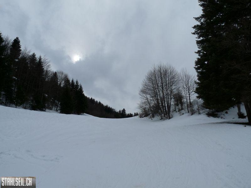 k-P1070262.JPG