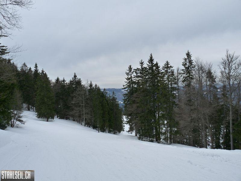 k-P1070279.JPG