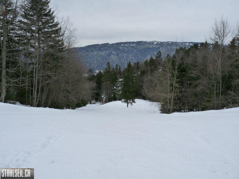 k-P1070282.JPG