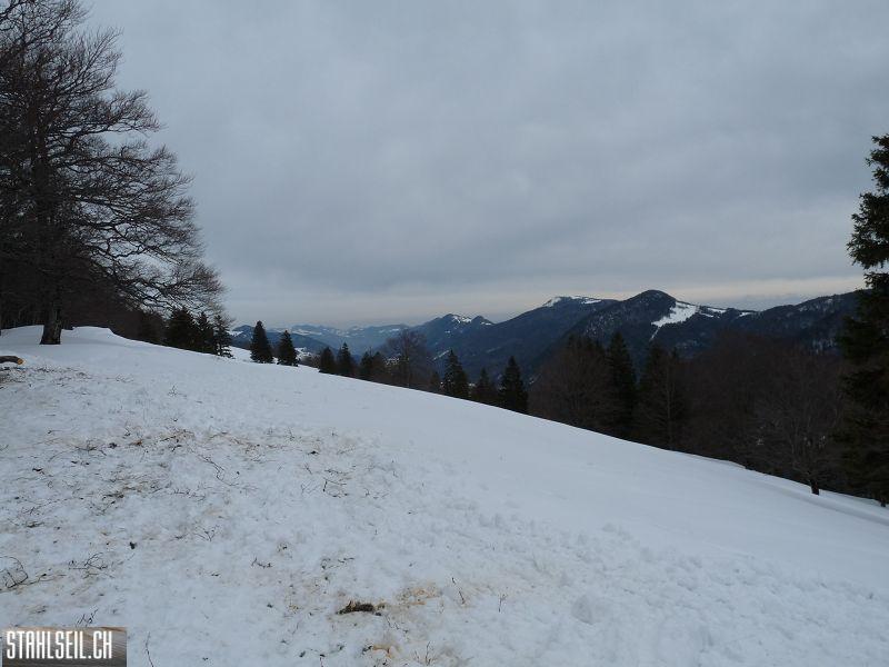 k-P1070297.JPG