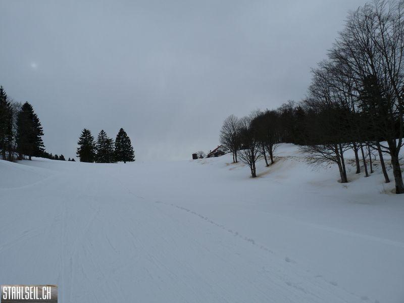 k-P1070308.JPG
