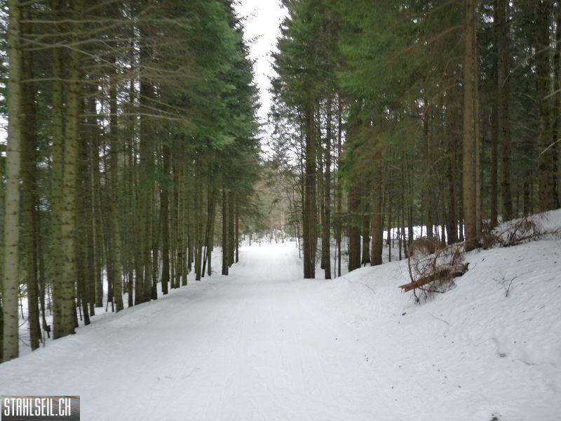 k-P1070310.JPG