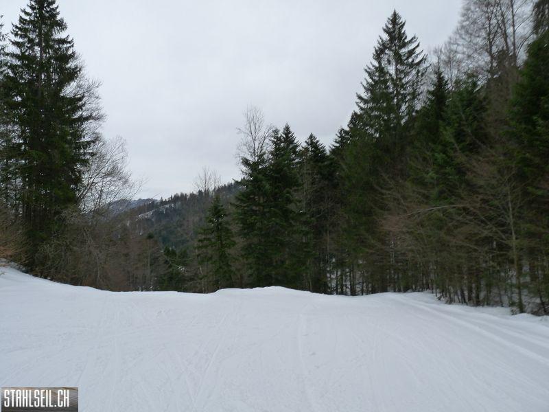 k-P1070311.JPG