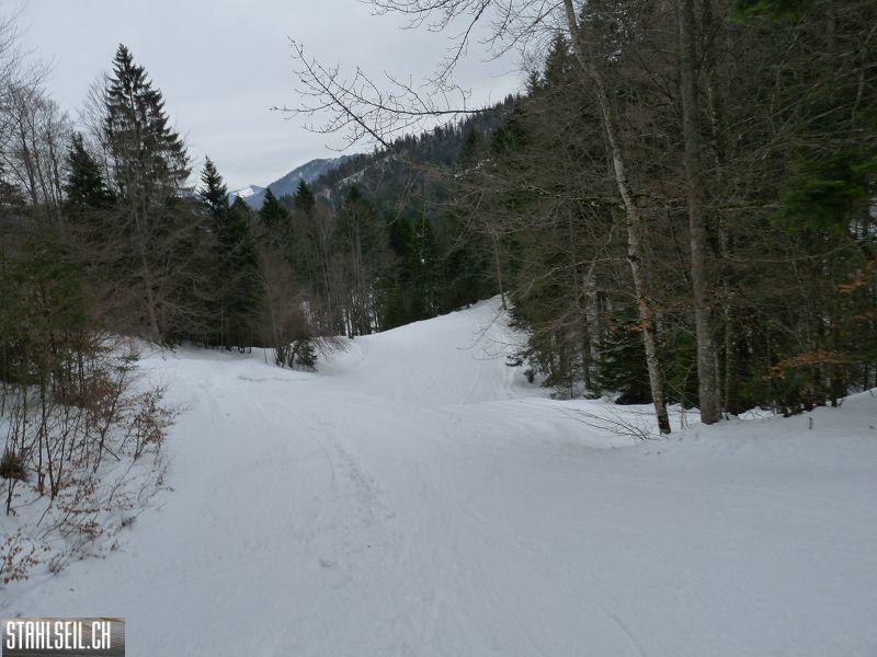 k-P1070312.JPG