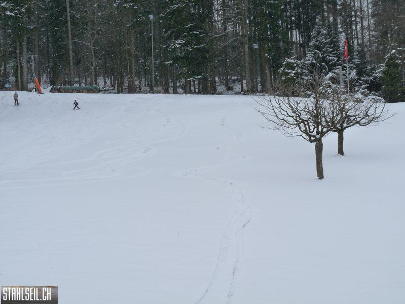 k-P1030530.JPG