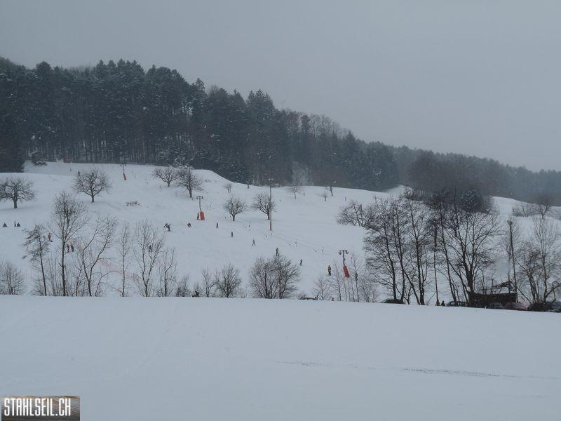 k-P1030558.JPG