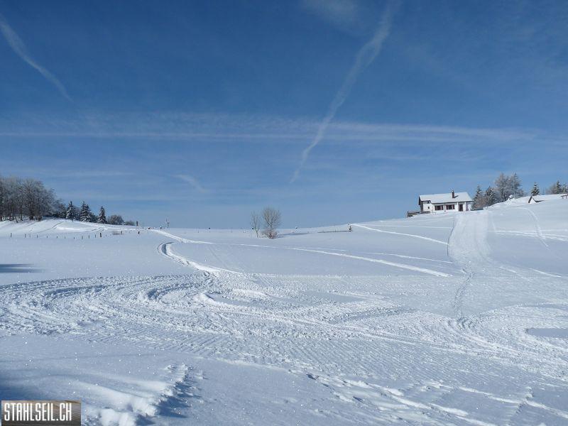 k-P1030644.JPG